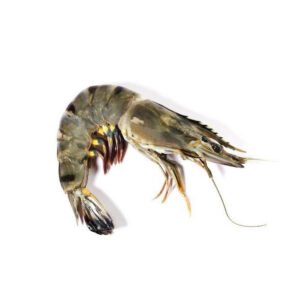 Creveți Black Tiger 8/12 cu cap „Ebi” (1 kg)